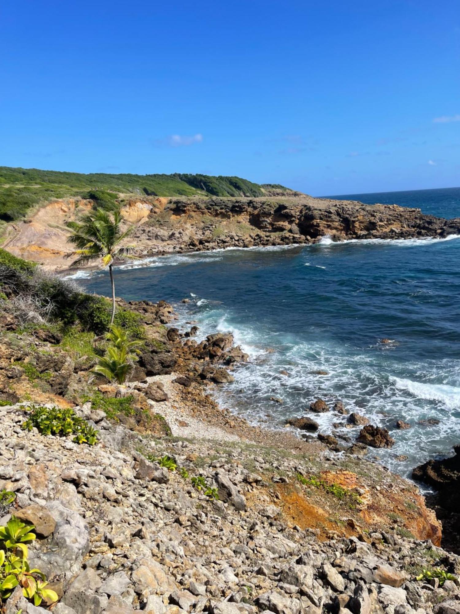 Appartement Vue Mer A 2 Minutes A Pied Des Plages Tartane La Trinite Εξωτερικό φωτογραφία